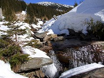 Stream in Krkonose mountain